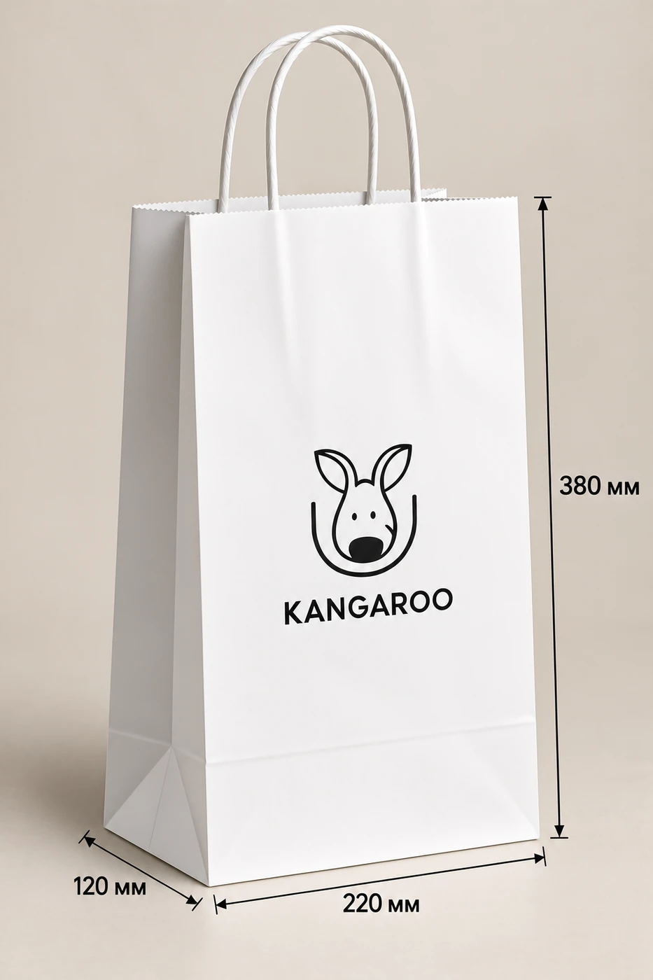Білий крафтовий пакет 220 × 120 × 380 мм